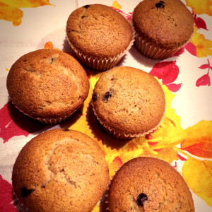 muffin delizia con gocce di cioccolato fondente